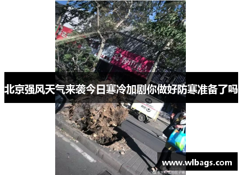 北京强风天气来袭今日寒冷加剧你做好防寒准备了吗